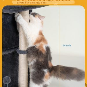 Scratching Post/Pad